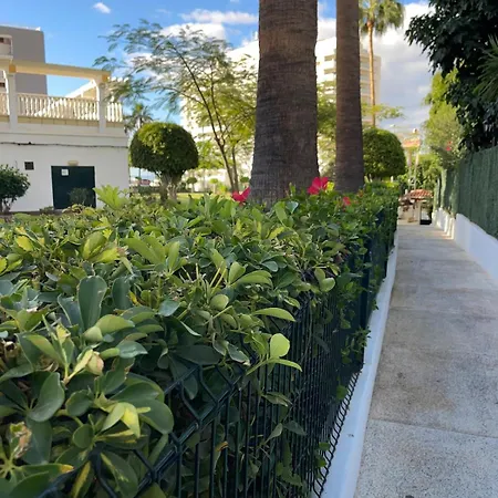 Copacobana Ocean View Playa Americas *