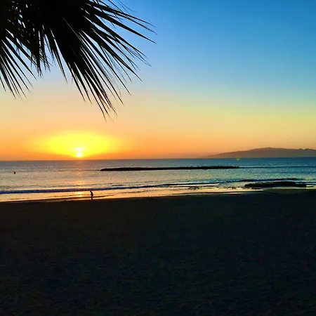 Апартаменты Copacobana Ocean View Playa Americas